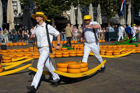 Porters in white uniforms and straw hats transporting Gouda at a traditional cheese market, cheese