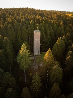 A stone observation tower rises up between tall trees, surrounded by soft twilight, Mandelberg