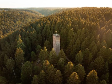 A massive tower rises out of an ocean of trees bathed in warm light, Mandelberg castle ruins,