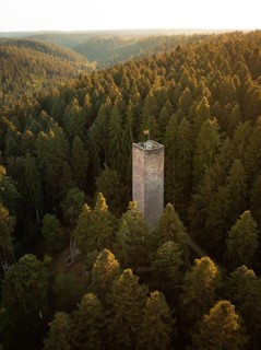 A tall tower stands between dense trees coloured by the light of dusk, Mandelberg castle ruins,
