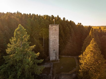 An old tower rises out of the dense forest, illuminated by the warm rays of the evening sun,
