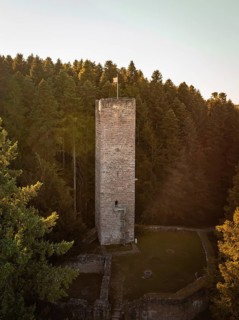 A stone tower stands alone in the middle of a dense forest, surrounded by the soft colours of the