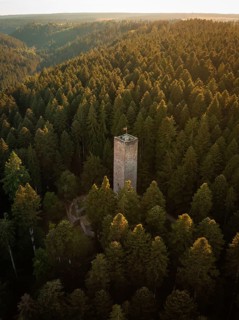 A single tower rises out of a dense forest as the setting sun bathes the scene in warm light,