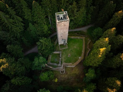 A fortified tower lies hidden in green light and dense forests, surrounded by nature, Mandelberg