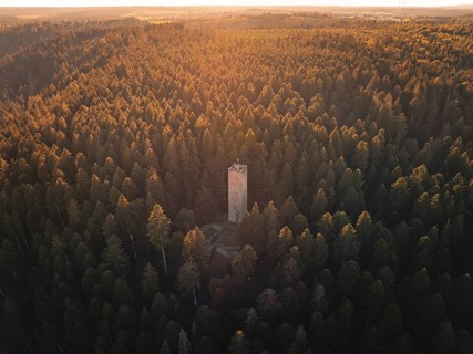 A slender observation tower is surrounded by an expansive forest landscape in the golden light,