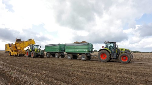 Agricultural harvesting of potatoes with potato harvester ROPA Keiler 2 in front of tractor Claas