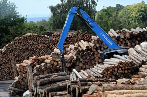 Wood storage and mechanical log transport on the premises of Energie-Mann in the Westerwald. Wood