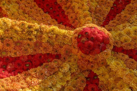 Flower arrangement of yellow and red dahlias, Province of Gelderland, Netherlands