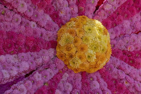 Flower arrangement of yellow, pink and pink dahlias, Province of Gelderland, Netherlands