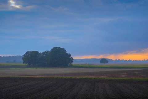 View over a field and meadow landscape in the rain and evening light, Husum, Nienburg, Lower