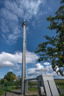 Transmission mast, on the right an apple tree (Malus) with fruits, Eckental, Middle Franconia,
