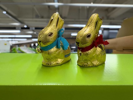 Two chocolate Easter bunnies in golden staniol paper, Germany
