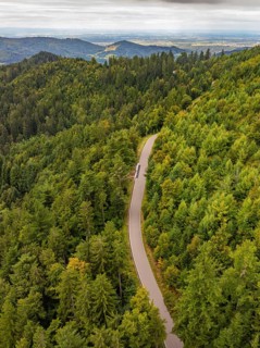 Winding road through lush wooded hills with views of the distance, Black Forest, Seebach, Germany