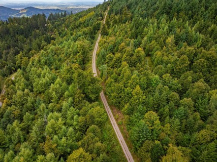 Aerial view of a winding road through dense forest, Black Forest, Seebach, Germany