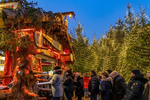 Christmas market and Christmas forest in the old town centre of Goslar at dusk, Lower Saxony,