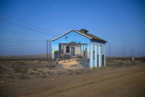 Painted house facade, graffito, brown hyena, diamonds, Oranjemund, Karas region, Namibia