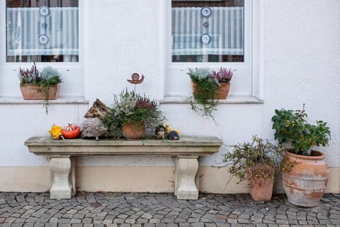 Stone bench with autumn decoration, Burgsteinfurt, Steinfurt, Münsterland, North Rhine-Westphalia,