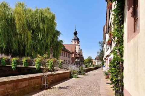 Ettlingen, Germany - August 13th 2025: Street in old historic city center with flower-covered