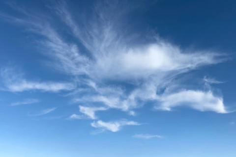 Feather clouds Veil clouds Fibrous cirrus clouds Cirrus clouds under a blue sky, international