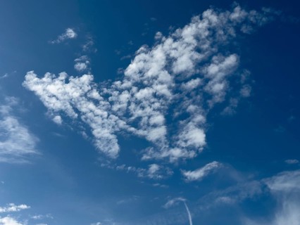 Many white cirrocumulus clouds small cluster clouds form cloud image like flying bird, natural