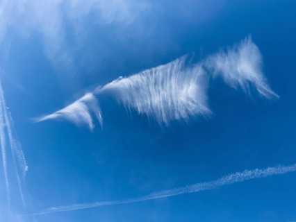 Cirrus cloud Feather clouds Veil clouds Cloud image in the shape of a floating seahorse under a