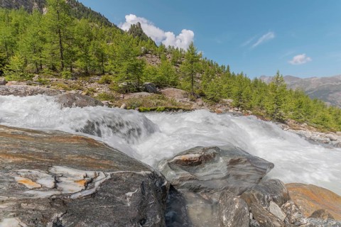 A rushing river cascades over smooth stones, surrounded by lush green trees and majestic mountains.