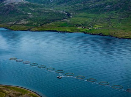 Mountains, fjord, coast, summer, aerial view, fish farm, salmon farm, farmed salmon, fishing,