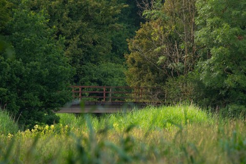 View across a meadow in the evening light to an old bridge in front of a forest, Ahlden, district