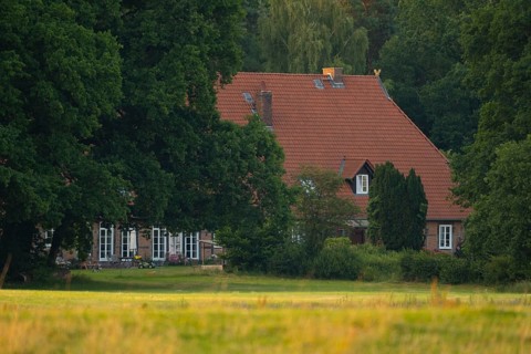 View across a meadow in the evening light to a farmhouse at the edge of the forest, Ahlden,