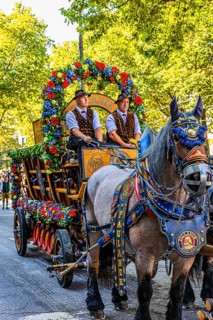 Splendid team of the Paulaner brewery, entry of the Oktoberfest hosts, Oktoberfest, Munich, Upper