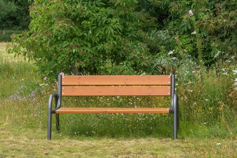 Bench, resting bench in a meadow with wild flowers and an elder bush, North Rhine-Westphalia,
