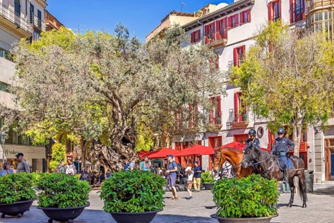 Cityscape view at a town square in Palma with lush green trees and plants as well as mounted police