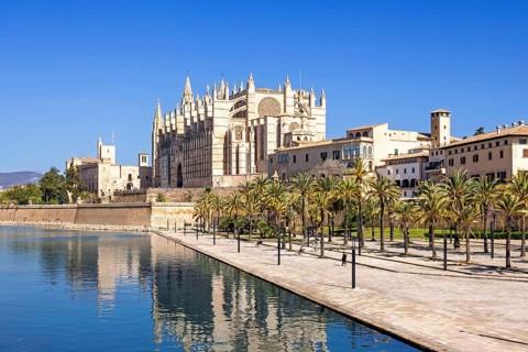 View at the famous Palma Cathedral with a water pond and palm trees in a park a sunny summer day,