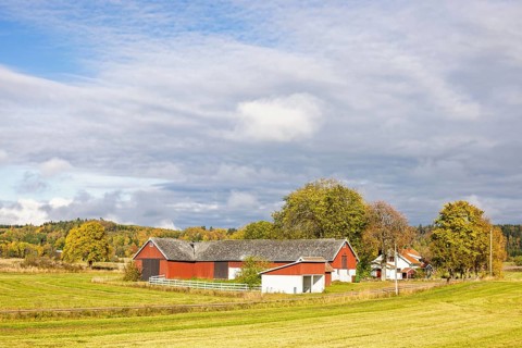 Farmhouse with a red barn in the countryside with fields and a grove of trees a beautiful sunny