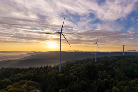 Wind turbines over a densely wooded area under a bright, clear morning sky, near Schorndorf,