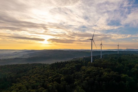 A row of wind turbines overlook a wooded area as the morning fog lifts, near Schorndorf, Rems-Murr