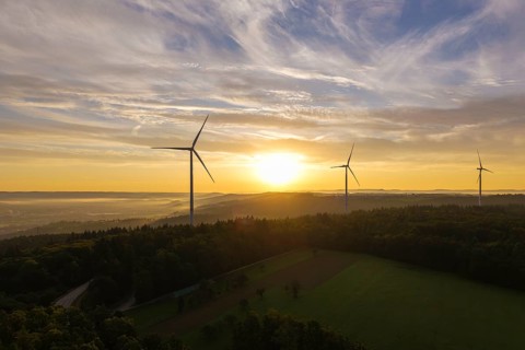 Wind turbines stretch across fields in the gentle sunlight that creates a peaceful horizon, near