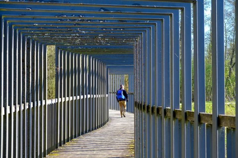 Heusterzbrücke, Waldnaabaue, Große Teichpfanne, Vizinalradweg, near Tirschenreuth, Upper
