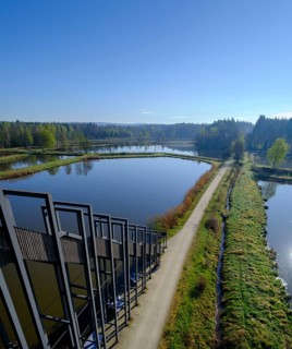 Himmelsleiter viewpoint, Tirschenreuther Teiche, Waldnaabaue, Große Teichpfanne, Vizinalradweg,
