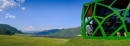 Tramin Winery, Tramin, Wine Route, South Tyrol, Italy
