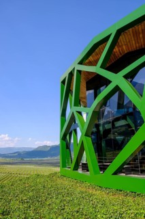 Tramin Winery, Tramin, Wine Route, South Tyrol, Italy