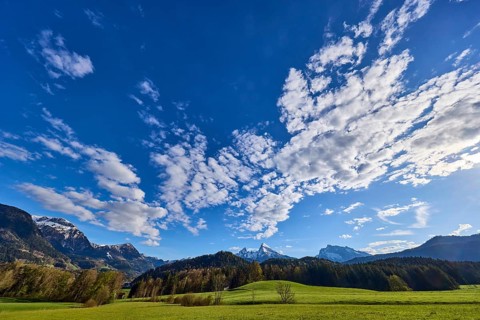 Weather, clouds, sky, landscape, mountains, meadow, coniferous forest, blue sky, cumulus clouds,