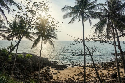 Sandy beach beach and coconut palms, Tricky-Trocky Beach, Sala Dan, Ko Lanta, Koh Lanta, Krabi