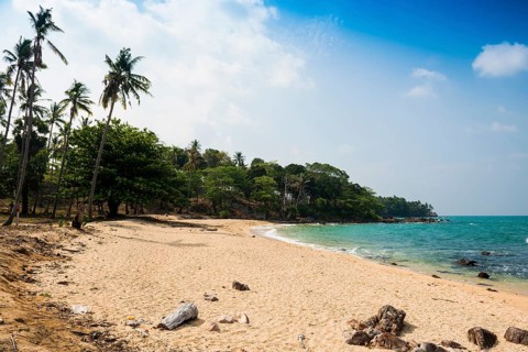 Sandy beach beach and coconut palms, Secret Beach, Sala Dan, Ko Lanta, Koh Lanta, Krabi Province,