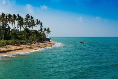 Sandy beach beach and coconut palms, Coconut Palm Beach, Sala Dan, Ko Lanta, Koh Lanta, Krabi