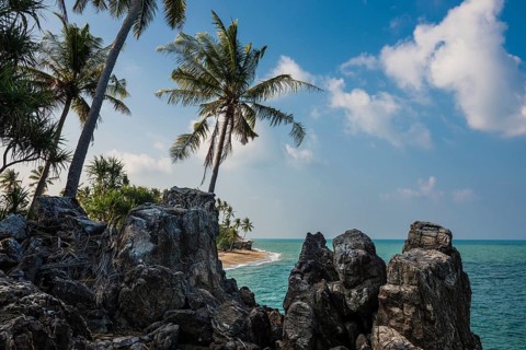 Rocks and coconut palms, Coconut Palm Beach, Sala Dan, Ko Lanta, Koh Lanta, Krabi Province,
