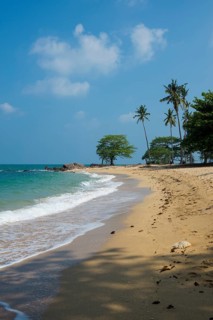 Sandy beach beach and coconut palms, Secret Beach, Sala Dan, Ko Lanta, Koh Lanta, Krabi Province,