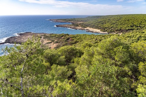 Landscape on the coast of the Porto Selvaggio nature reserve, Santa Caterina, Nardo, Apulia, Italy