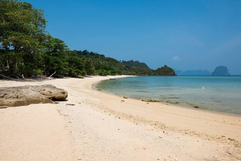 White sandy beach and coconut palms, Paradise Beach, Koh Great white shark, Ko Ngai, Krabi