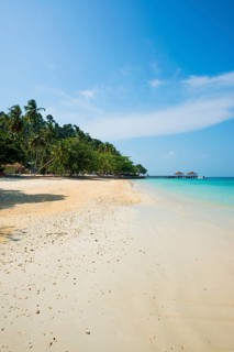 White sandy beach and coconut palms, Sunrise Beach, Koh Great white shark, Ko Ngai, Krabi Province,